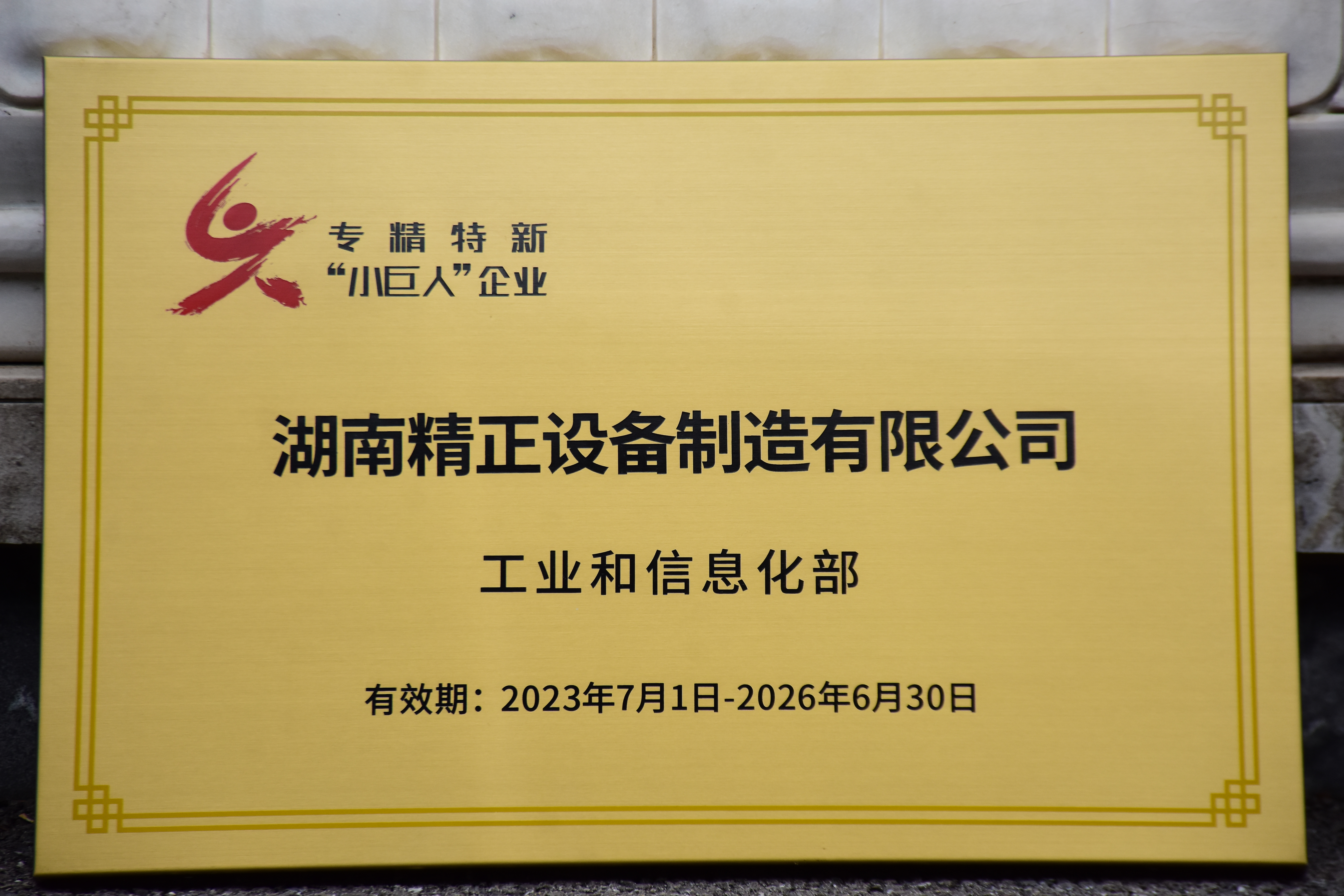 leyu·乐鱼运动获得“专精特新”小巨人企业