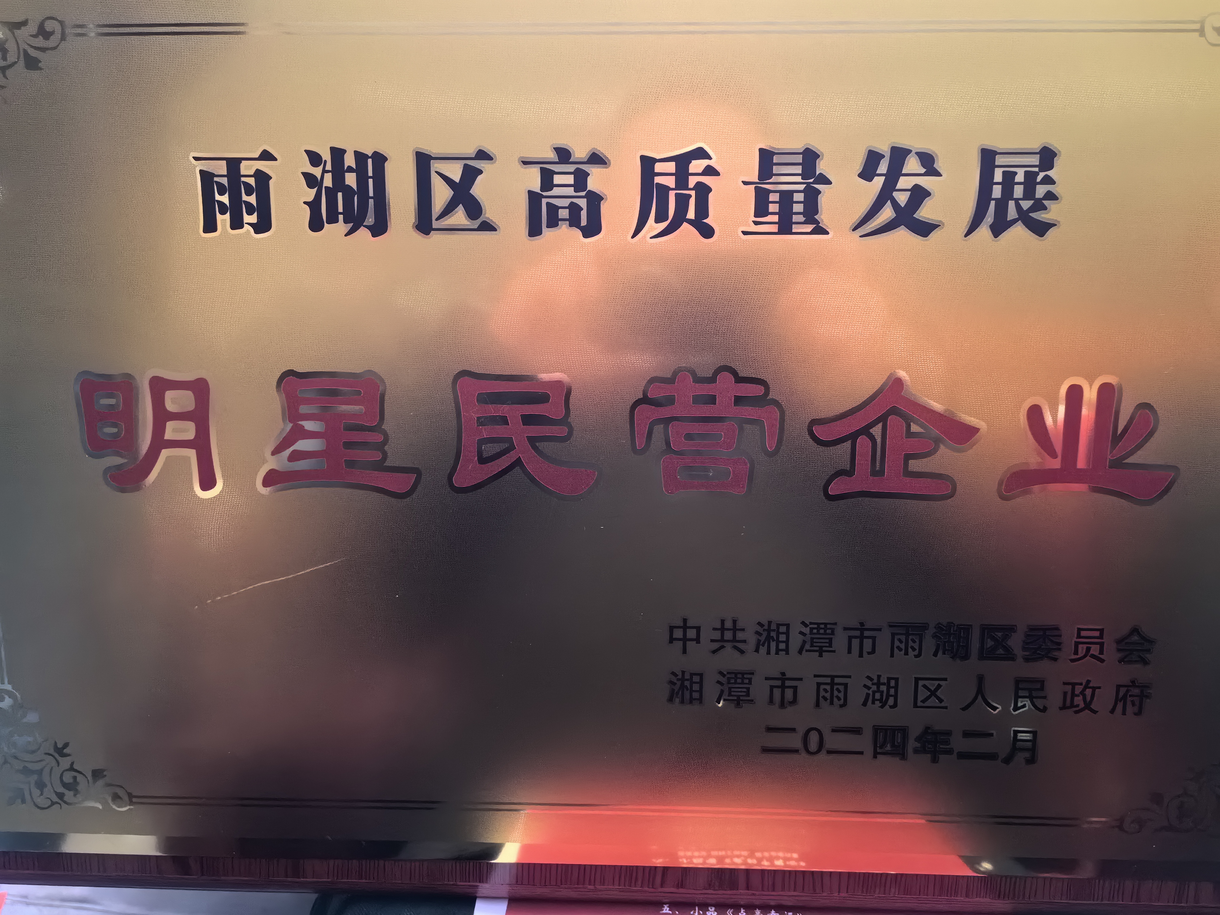 leyu·乐鱼运动荣获“雨湖区高质量发展明星民营企业”称号